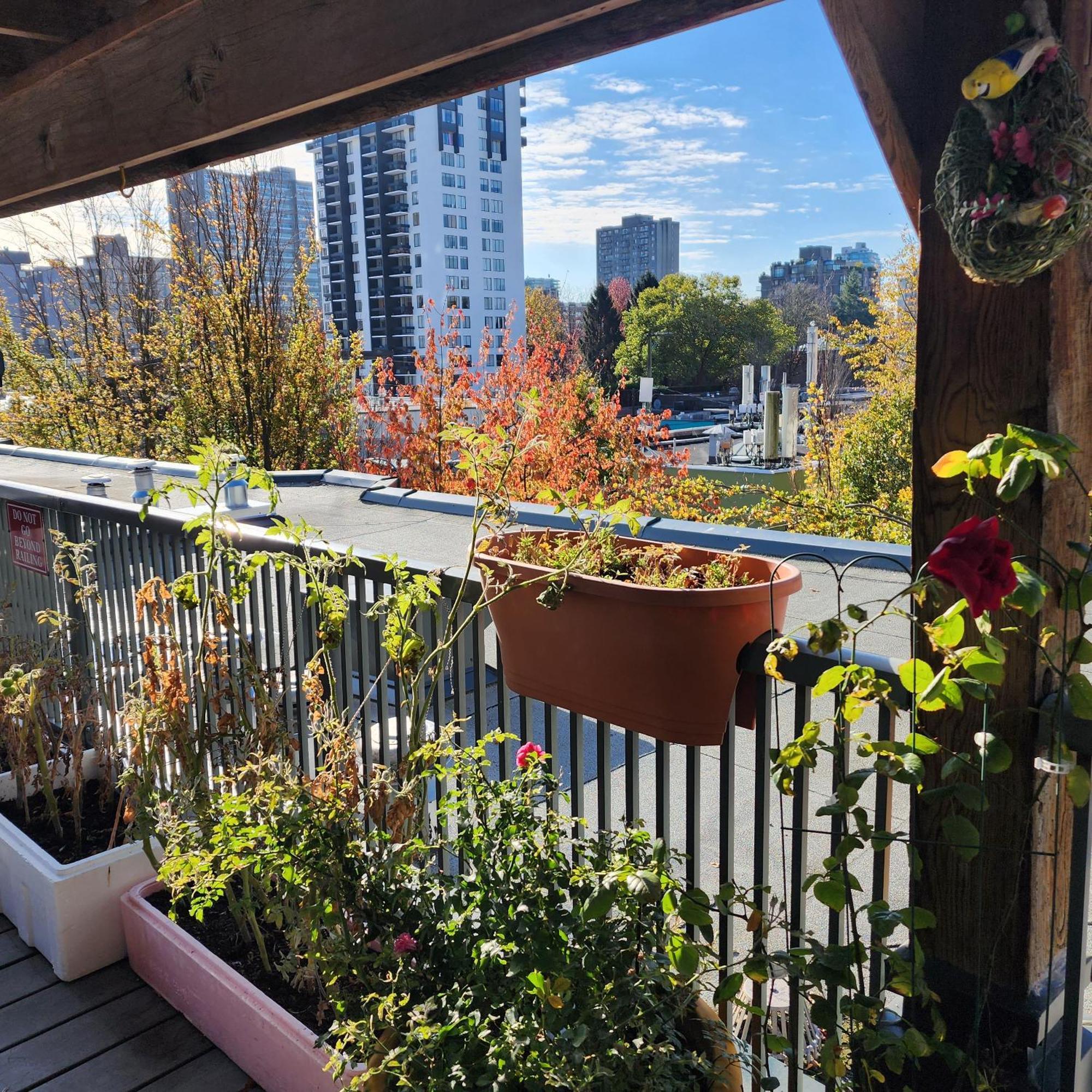Times Square Suites Hotel Βανκούβερ Εξωτερικό φωτογραφία